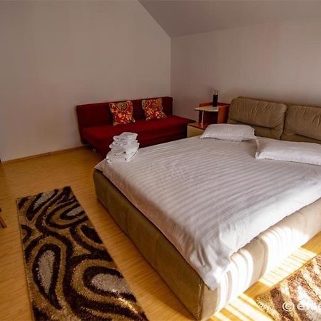 ホテル Casa Cu Flori モイセイ エクステリア 写真