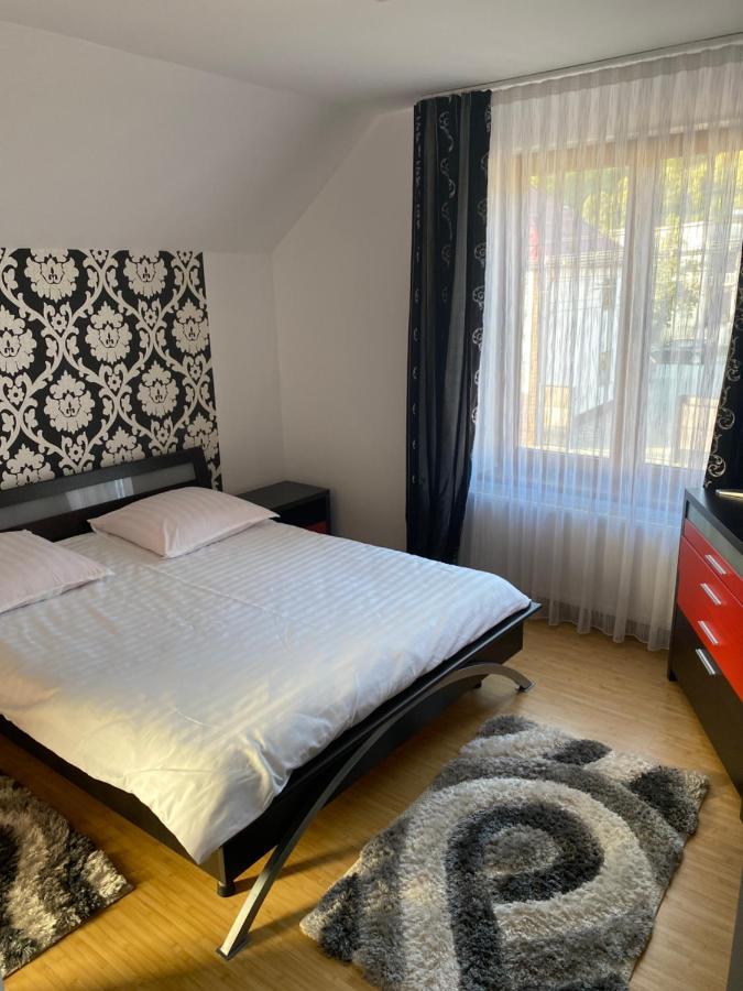 ホテル Casa Cu Flori モイセイ エクステリア 写真