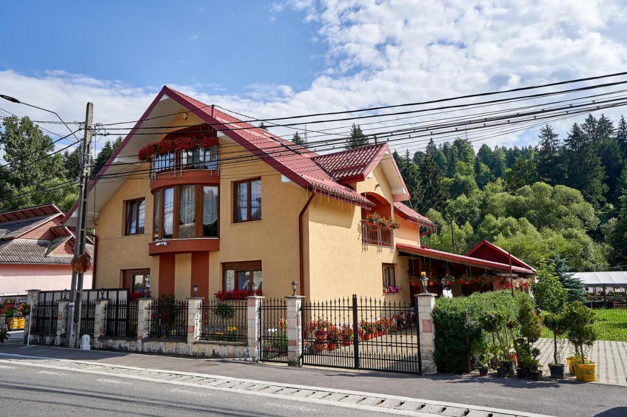 ホテル Casa Cu Flori モイセイ エクステリア 写真