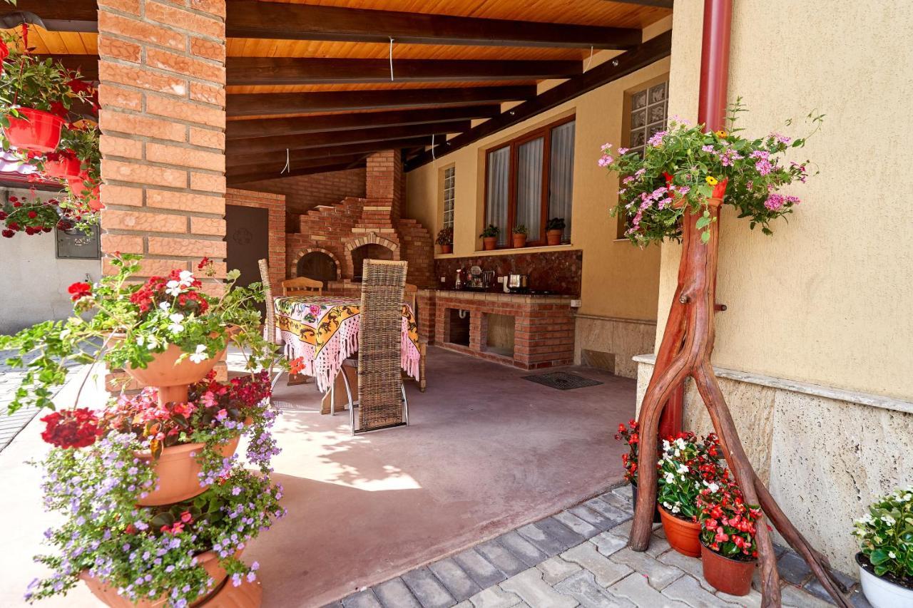 ホテル Casa Cu Flori モイセイ エクステリア 写真