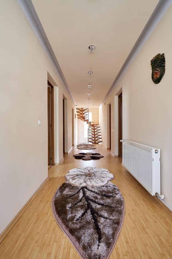 ホテル Casa Cu Flori モイセイ エクステリア 写真