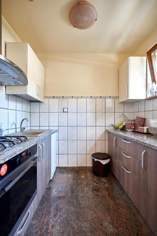ホテル Casa Cu Flori モイセイ エクステリア 写真