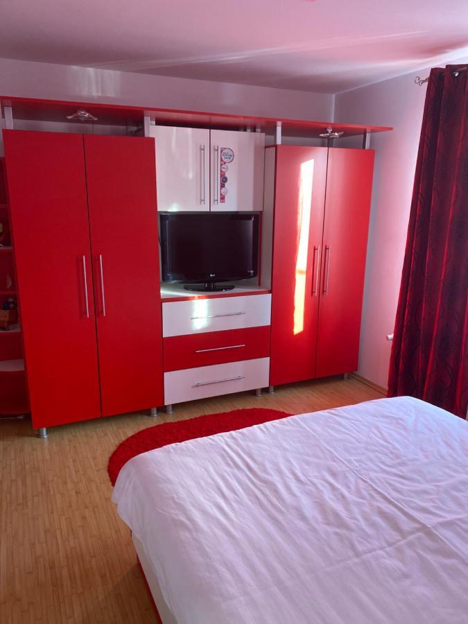 ホテル Casa Cu Flori モイセイ エクステリア 写真